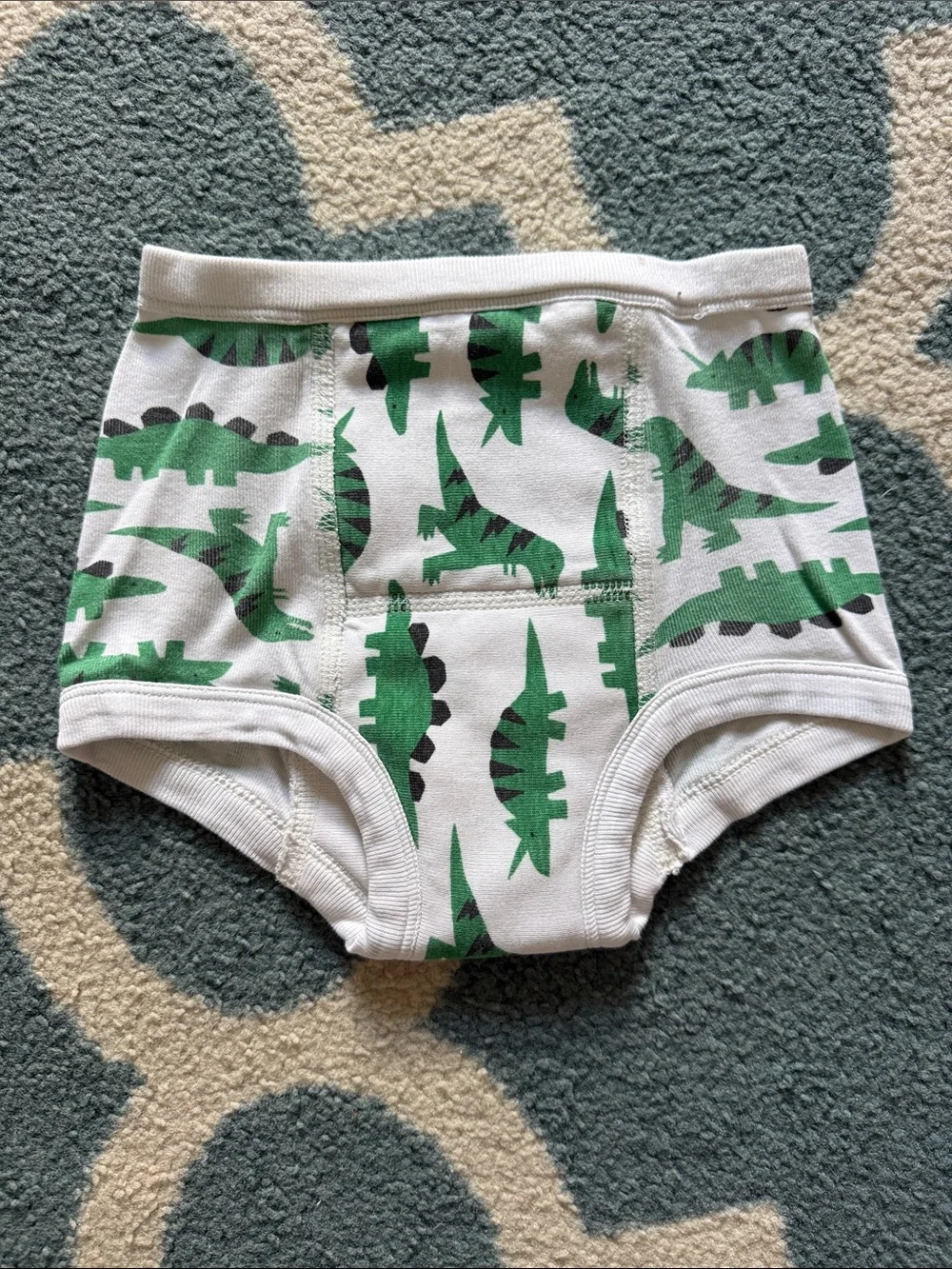 Hanna Andersson Boys Training Briefs Bundle